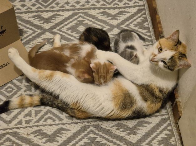Mama im Einsatz
