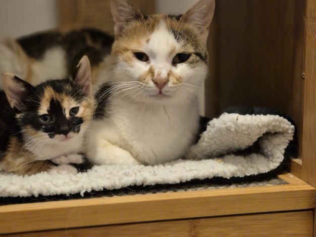 Mama und Fleur